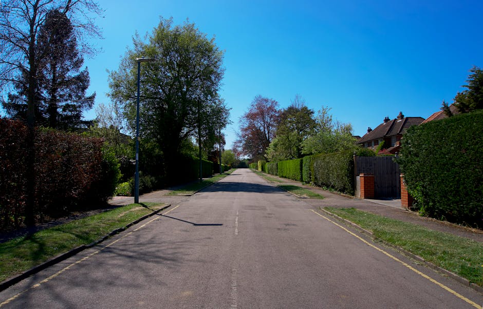 A quiet residential street on a clear day with a bright blue sky, lined with green trees and well-maintained hedges alongside individual houses with brick walls and gates. The road is paved with asphalt and features a double yellow line marking on one side, with a single white dashed line running down the center. Tall streetlights stand on either side of the street, casting shadows on the pavement. In the foreground, part of a sidewalk with grass verges is visible, and the image captures the entire length of the street extending into the distance, emphasizing a calm neighbourhood setting suitable for house removals or furniture transport by Man and a Van Ealing, especially during packing and moving processes dealing with narrow access streets.